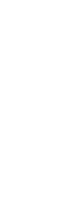 伝統的工芸品熊野筆